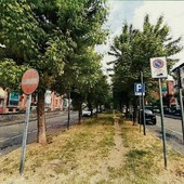 A Chieri al via la riqualificazione di viale Giovanni XXIIII A Chieri al via la riqualificazione di viale Giovanni XXIIII