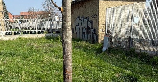 I giardini in cui si è verificata l'aggressione