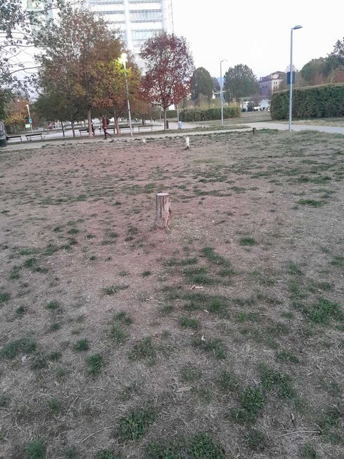 Le condizioni del giardino Grosa Le condizioni del giardino Grosa