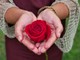 Un fiore e una preghiera, omaggio alle mamme che non ci sono più Un fiore e una preghiera, omaggio alle mamme che non ci sono più