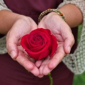 Un fiore e una preghiera, omaggio alle mamme che non ci sono più Un fiore e una preghiera, omaggio alle mamme che non ci sono più