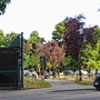 Rigenerazione urbana e presidio fisso, la ricetta per i giardini Maiocco