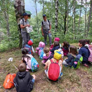 Guardie Ecologiche Volontarie: aperto il bando per il corso di formazione