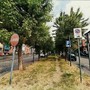 A Chieri al via la riqualificazione di viale Giovanni XXIIII
