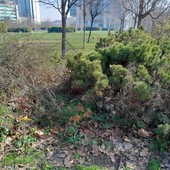 Il giardino Grosa di via Cavalli