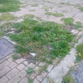 Foto generica d'archivio