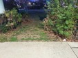 Le condizioni del giardino Grosa Le condizioni del giardino Grosa