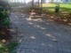 I giardini di via Varallo