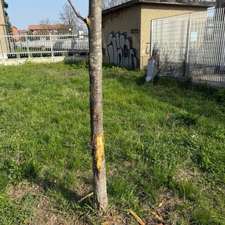 I giardini in cui si è verificata l'aggressione