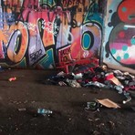 I giardini ridotti a discarica