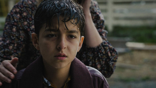 Give Peace a Screen: al via la terza edizione al festival di short film che parlano di pace