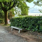 Parco Europa, ipotesi di rilancio per l'ex Casa del Custode Parco Europa, ipotesi di rilancio per l'ex Casa del Custode