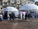 L'Igloo del ditigale