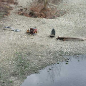 L'opera Idolo lungo il Sangone