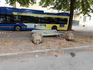 L'incidente in via Plava L'incidente in via Plava