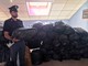 Rivoli, sequestrati 255 chili di droga a un cittadino italiano (VIDEO)