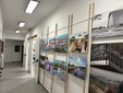 A Torino la mostra su Italia '61