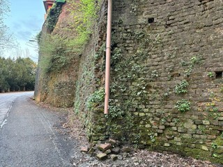 Grande dibattito sul futuro del parco Europa a Cavoretto