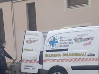 L'intervento in via Ghedini