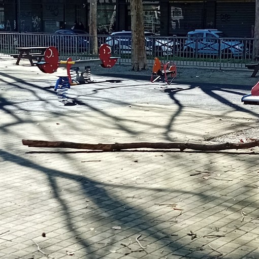 Rami cadono nell’area giochi, paura al giardino dedicato a Rava