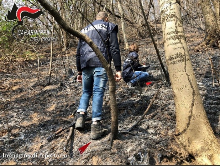 Scintille da un flessibile innescano incendio boschivo, identificato l'autore