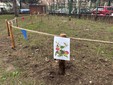 Torino, inaugurato il nuovo giardino didattico alla scuola Don Milani Torino, inaugurato il nuovo giardino didattico alla scuola Don Milani