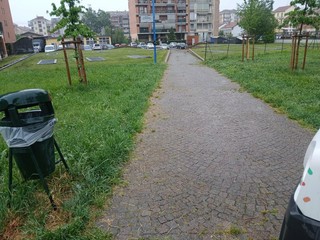 Interventi di pulizia in Circoscrizione 5