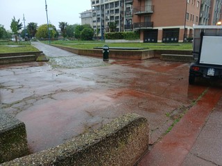 Interventi di pulizia in Circoscrizione 5