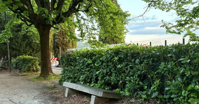 Parco Europa, ipotesi di rilancio per l'ex Casa del Custode Parco Europa, ipotesi di rilancio per l'ex Casa del Custode