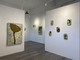 Torino Art Galleries: torna la Notte delle Arti Contemporanee