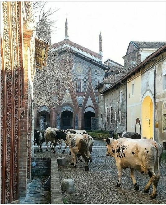 Alla Precettoria di Sant’Antonio di Ranverso , la festa del santo patrono e la benedizione degli animali