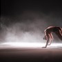 Earthink Festival arriva a Torino dal 4 al 6 settembre