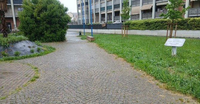 Interventi di pulizia in Circoscrizione 5