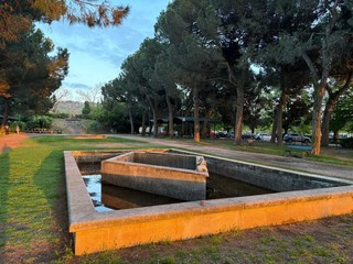 Grande dibattito sul futuro del parco Europa a Cavoretto