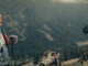 Il Codice del bosco: il docu-film di Alessandro Bernard e Paolo Ceretto in prima visione a Torino