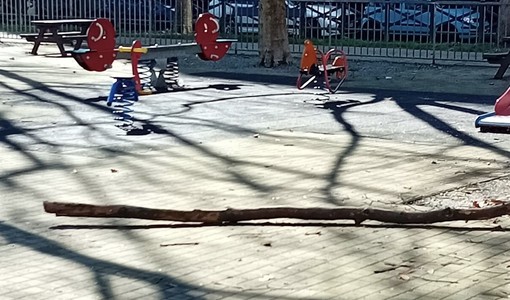 Rami cadono nell’area giochi, paura nel giardino dedicato a Rava