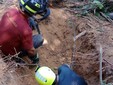 Il salvataggio dei due cagnolini