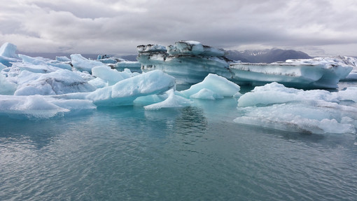 A Torino arriva il Festival For The Earth