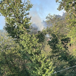 Luserna San Giovanni: fiamme nel bosco del Bric di Bandì Luserna San Giovanni: fiamme nel bosco del Bric di Bandì