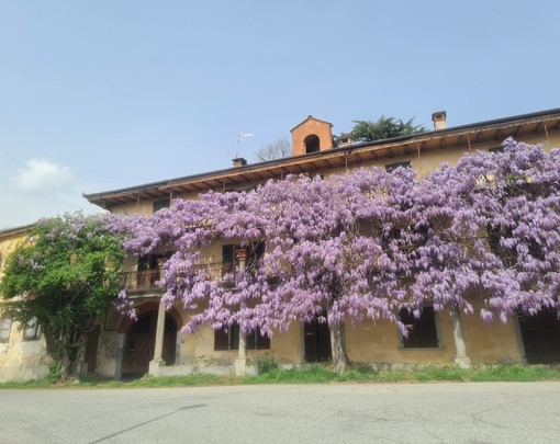 La casa del glicine, dove ha vissuto Alba de Céspedes