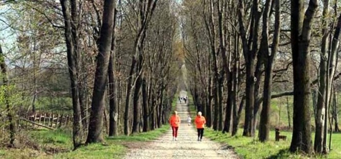 Dal Parco La Mandria a Venaria Reale, il via a Run For School