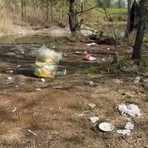 Una discarica ai laghetti della Falchera Una discarica ai laghetti della Falchera