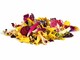&quot;L'arte di cucinare con i fiori: bellezza e sapori in tavola&quot;