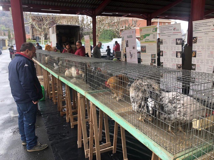 (Foto di Christian Bosio)