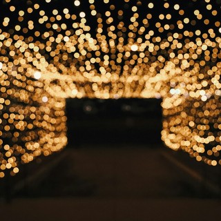 Lily Miller- Unsplash