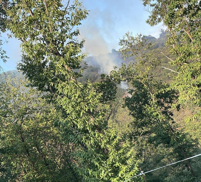 Luserna San Giovanni: fiamme nel bosco del Bric di Bandì Luserna San Giovanni: fiamme nel bosco del Bric di Bandì