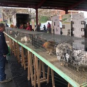 (Foto di Christian Bosio)