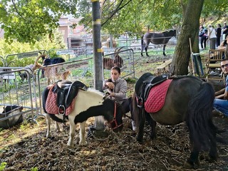 Successo per la Fiera d’Autunno a Lanzo Successo per la Fiera d’Autunno a Lanzo