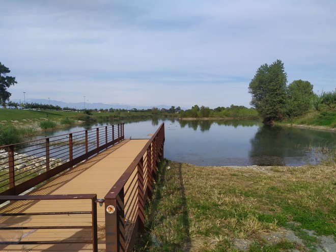 Immagine d'archivio Immagine d'archivio