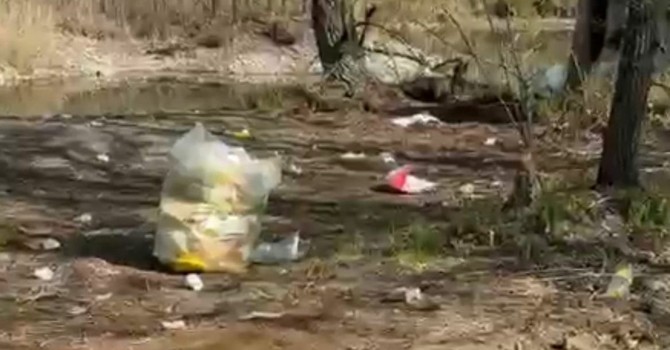 Una discarica ai laghetti della Falchera